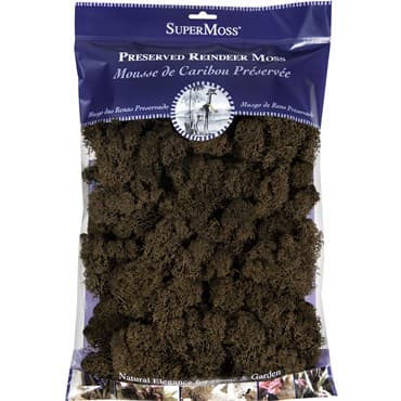 SuperMoss 8oz Reindeer Moss Preserved Brown — photo 1 of 2