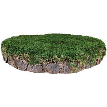 SuperMoss 1" MossyTree Stump Fresh Green — photo 1 of 2