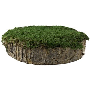 SuperMoss 2" MossyTree Stump Fresh Green — photo 1 of 2