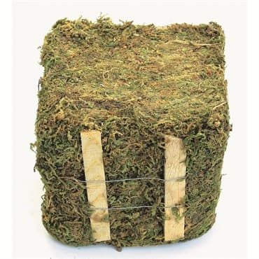 SuperMoss 1.5# Bale Dried Mountain Moss — photo 1 of 2
