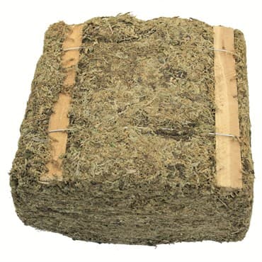 SuperMoss 3.5# Mountain Moss Dried — photo 1 of 2
