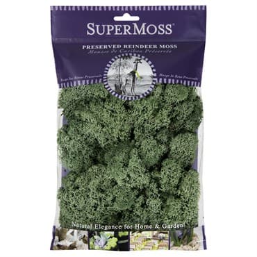 SuperMoss 2oz Reindeer Moss Moss Green — photo 1 of 2