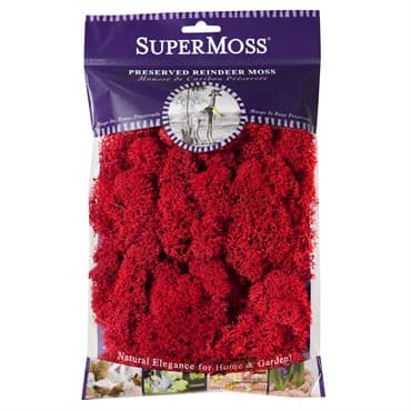 SuperMoss 2oz Reindeer Moss Red — photo 1 of 2