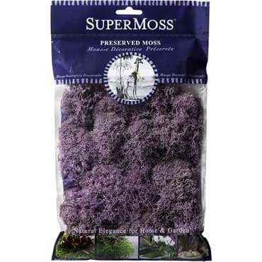 SuperMoss 2oz Reindeer Moss Lavender — photo 1 of 2