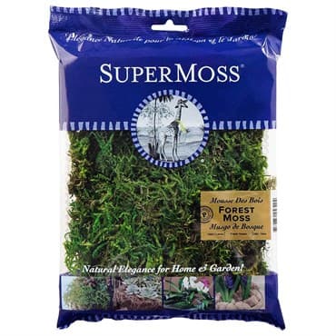 SuperMoss 8oz Forest Moss Preserved Fresh Green — photo 1 of 2
