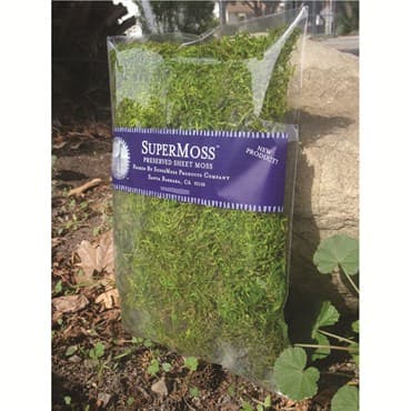 SuperMoss 16oz Forest Moss Preserved Fresh Green — photo 1 of 2