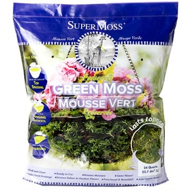 SuperMoss 24qt Forest Moss Preserved Fresh Green — photo 1 of 2