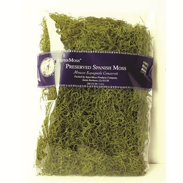 SuperMoss 8oz Spanish Moss Preserved Basil — photo 1 of 2