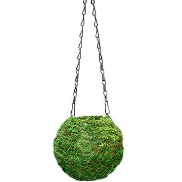 SuperMoss 6" Kokedama Green Moss Ball Planter — photo 1 of 2
