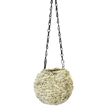 SuperMoss 6" Kokedama Blond Sphagnum Ball Planter — photo 1 of 2