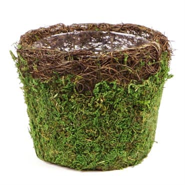 SuperMoss Med Deco Basket Vineyard Fresh Green — photo 1 of 2