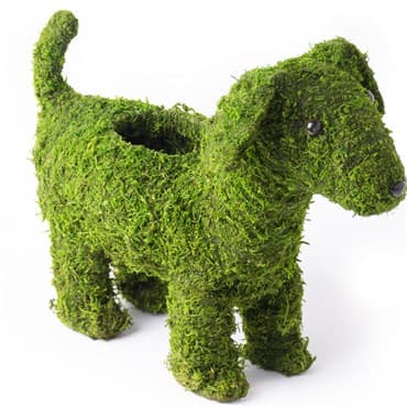 SuperMoss Puppy Planter — photo 1 of 2