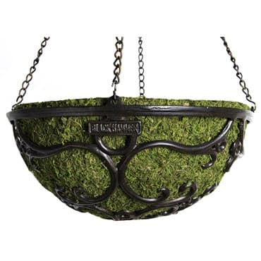 SuperMoss 14" Blackhammer Hanging Basket Macbeth Round — photo 1 of 2