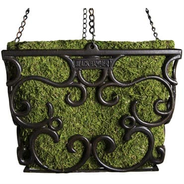 SuperMoss 12" Blackhammer Hanging Basket Macbeth Square — photo 1 of 2