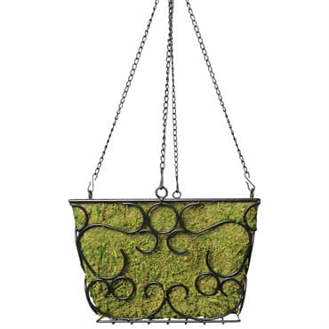 SuperMoss 12" Black Hammer McBeth Square Hanging Basket — photo 1 of 2