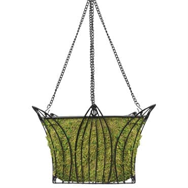 SuperMoss 12" Black Hammer Leeds Square Hanging Basket — photo 1 of 2