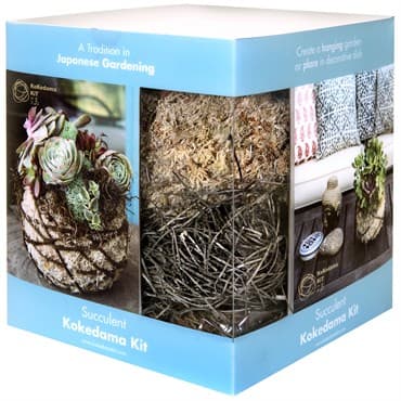 SuperMoss Kokedama Kit Suculnt 6" — photo 1 of 2
