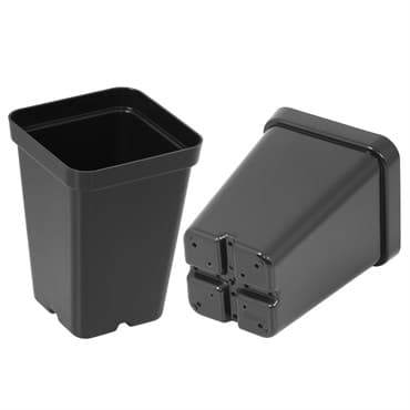 SunPack 2.5" Square Pot, Black — photo 1 of 2