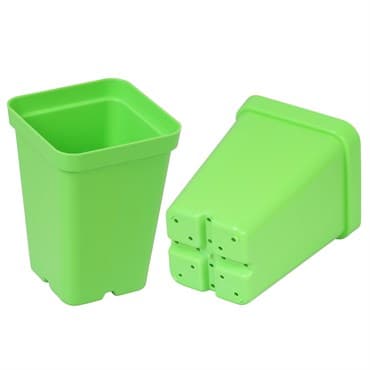 SunPack 2.5" Square Pot, Green — photo 1 of 2