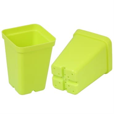 SunPack 2.5" Square Pot, Lime Green — photo 1 of 2