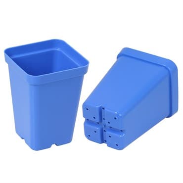 SunPack 2.5" Square Pot, Blue — photo 1 of 2