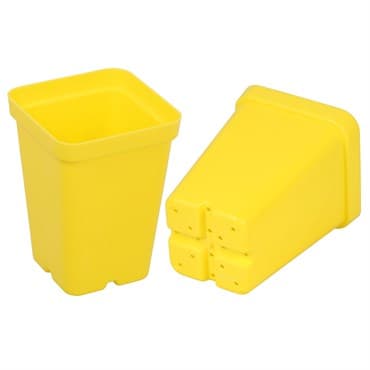 SunPack 2.5" Square Pot, Yellow — photo 1 of 2