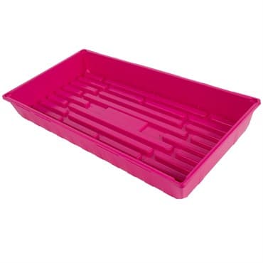 SunPack 10"x20" MegaTray I.D. Magenta — photo 1 of 2