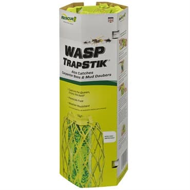 Rescue TrapStik For Wasps Bulk Box — photo 1 of 2