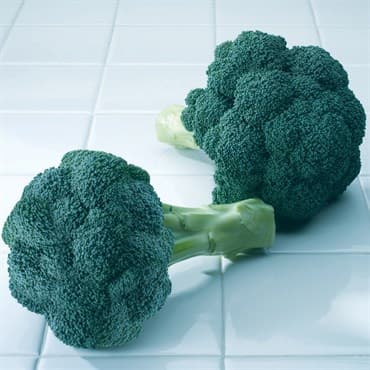 Broccoli, Diplomat Treated 500 Seed Count — photo 1 of 2