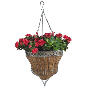 Gardener Select 14" Queen Isabella Parasol Hanging Basket Antique Green — photo 1 of 2