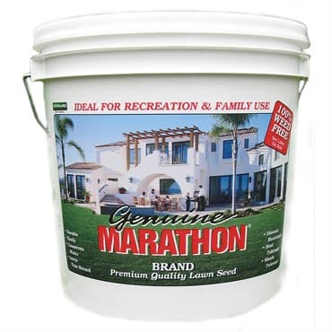 Marathon 1 Grass Seed 5# — photo 1 of 2