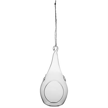 SSI Teardrop Hanging Terrarium — photo 1 of 2