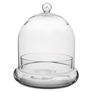 SSI 7" x 8 1/4" Terrarium Cloche — photo 1 of 2