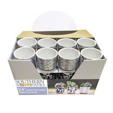 Southern Patio 24pc 3.5" Small Succulent Bowl Tray Pack — photo 1 of 2