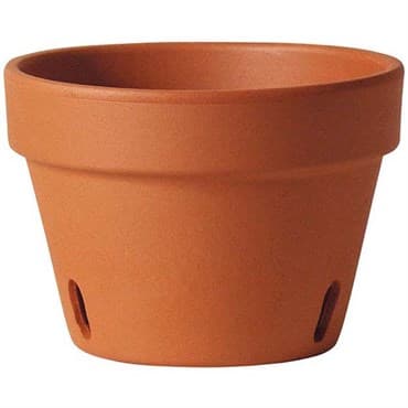 Southern Patio 6" Orchid Clay Pot — photo 1 of 2