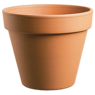 Southern Patio 8" Standard Clay Pot — photo 1 of 2
