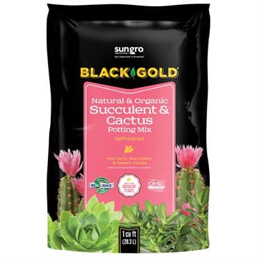 Black Gold Cactus Mix 1cf — photo 1 of 2