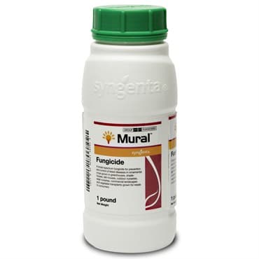 Syngenta Mural 1Lb AGENCY (6/Cs) HAZARDOUS VIA AIR ( Azoxystrobin + Benzovindiflupyr ) — photo 1 of 2