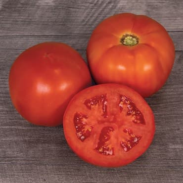 Tomato, Mountain Man 100 Seed Count — photo 1 of 2