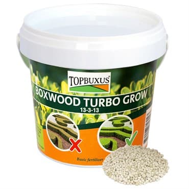 TOPBUXUS 1lb Boxwood Turbo Grow Orange Bucket — photo 1 of 2