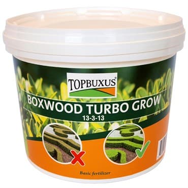 TOPBUXUS 10lb Boxwood Turbo Grow Orange Bucket — photo 1 of 2