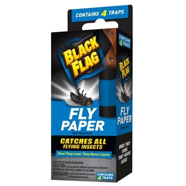 Black Flag Fly Paper 4CT — photo 1 of 2