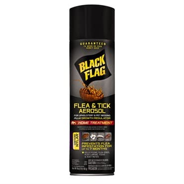 Black Flag Flea & Tick Aerosol For Upholstery — photo 1 of 2