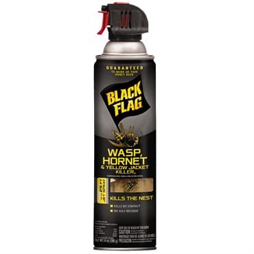 Black Flag 14oz Wasp Hornet & Yellow Jacket Killer Aerosol — photo 1 of 2