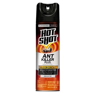 Hot Shot 16oz Ant Killer Aerosol — photo 1 of 2
