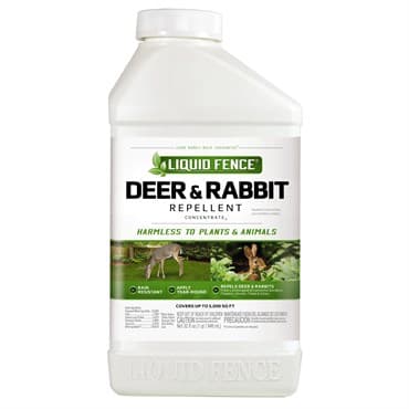 Liquid Fence Qt Deer & Rabbit Concentrate LFN1106 (Keywords: Scotts Ortho Deer B Gon Concentrate SC0489310 ) — photo 1 of 2
