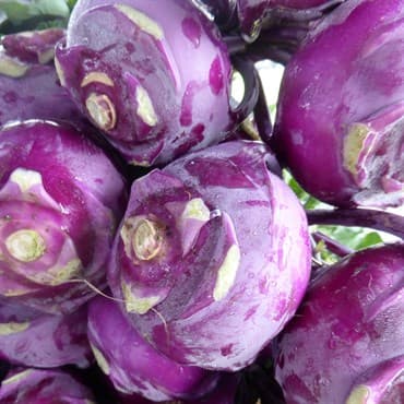Kohlrabi, Purple Vienna 1/2oz — photo 1 of 2