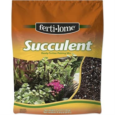 VPG 8qt Succulent Mix 6/CS Fertilome — photo 1 of 2