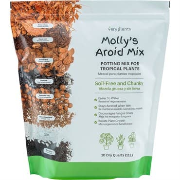 Molly's 10qt Aroid Mix — photo 1 of 2