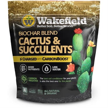 Wakefield 4qt Biochar Cactus Carbonboost 6/CS — photo 1 of 2